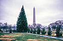 The 1970 National Christmas Tree was a Black Hills Spruce.  My Dad was in Washington for the installation of the tree and took this photo.