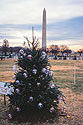 The 2002 Pageant of Peace in Washington included trees representing all the states, including this one for Texas.