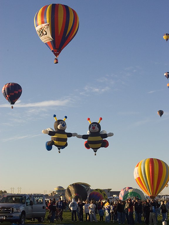 Bees, Albuquerque Balloon Fiesta.  Click for next photo.
