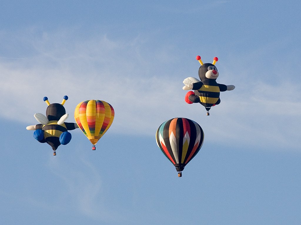 The bees again, Albuquerque Balloon Fiesta.  Click for next photo.