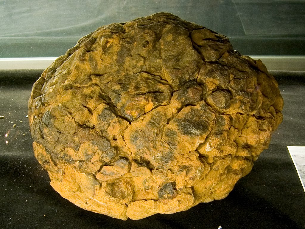 A shale ball meteorite recovered in Australia, on display at the University of New Mexico Meteorite Museum.  Click for next photo.