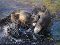 Grizzly bear siblings wrestling, Knight Inlet, British Columbia, September 2004.