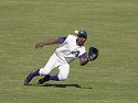 CF Marland Williams makes a diving catch for Grand Canyon, Arizona Fall League, 2004.
