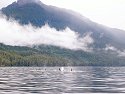 Orca, British Columbia, September 2004. (Canon S45 camera)