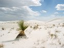 White Sands National Monument, New Mexico, 2004.