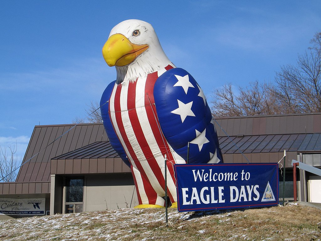 Giant rubber eagle welcomes visitors to Eagle Days, Squaw Creek NWR, Missouri, December 2005.  Click for next photo.