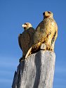 Carvings in Eagle Point Park, Clinton, Iowa, 2006.