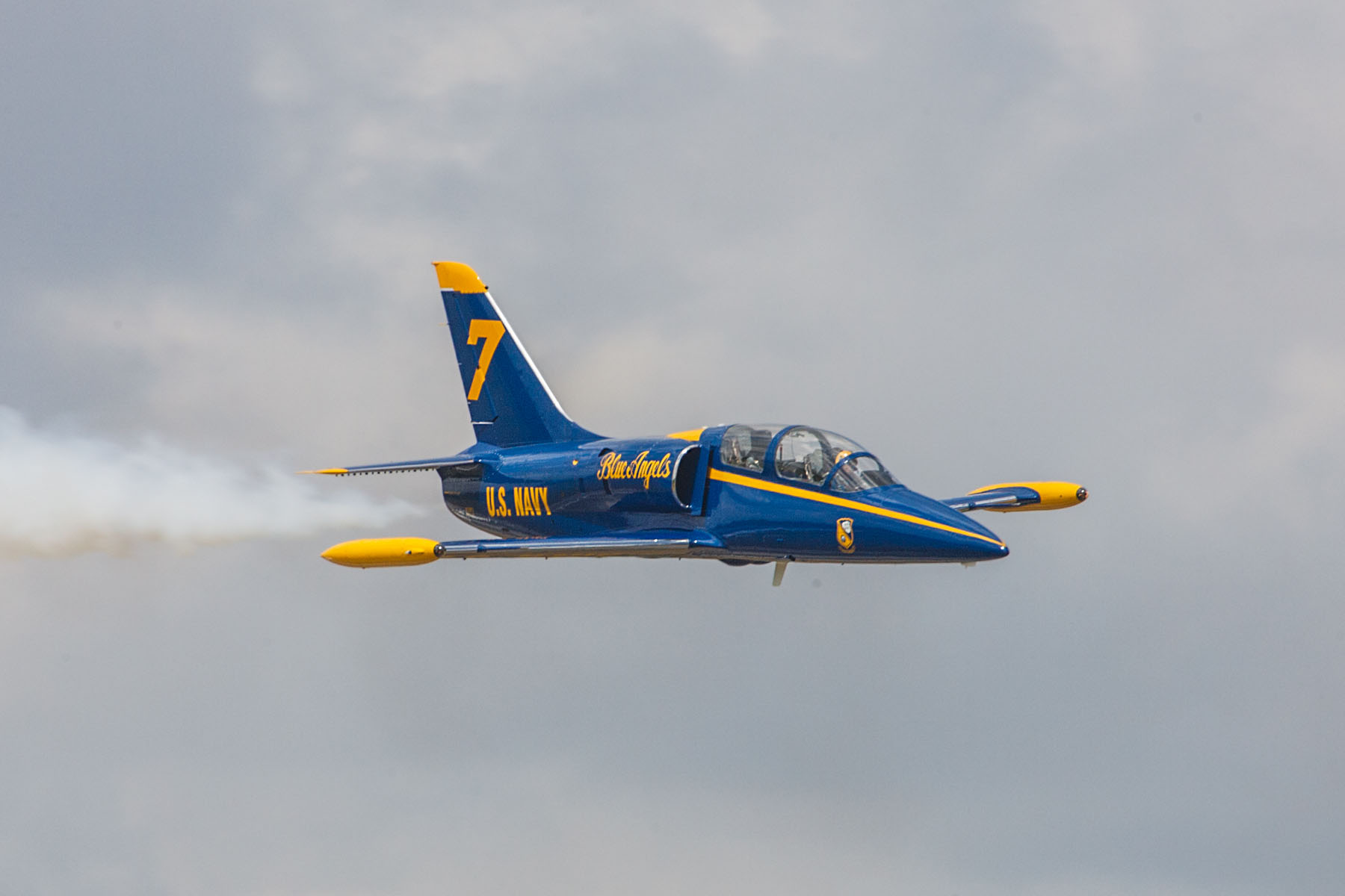 L-39 Czech jet painted as a Blue Angel, TICO Warbirds Air Show, Titusville, Florida.  Click for next photo.