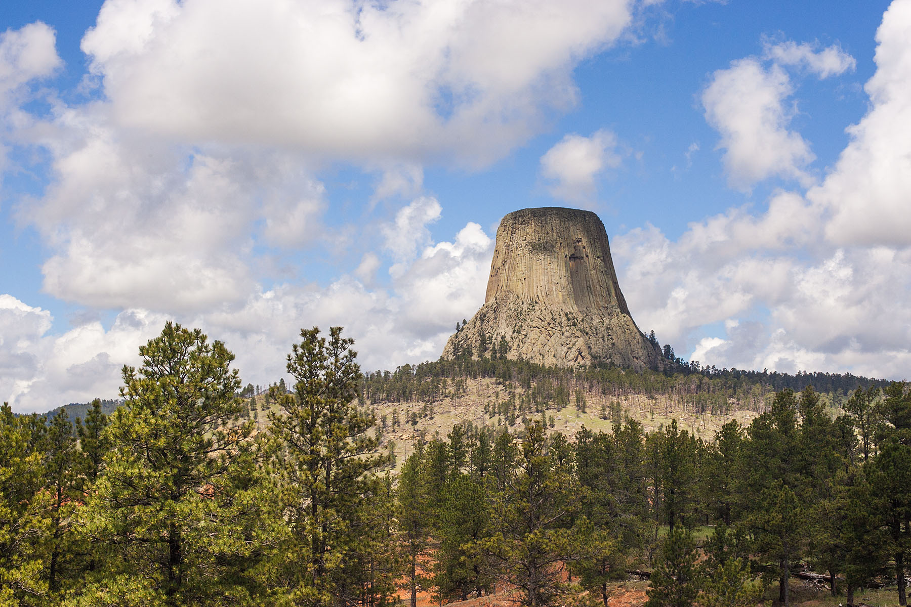 Devils Tower, Wyoming.  Click for next photo.