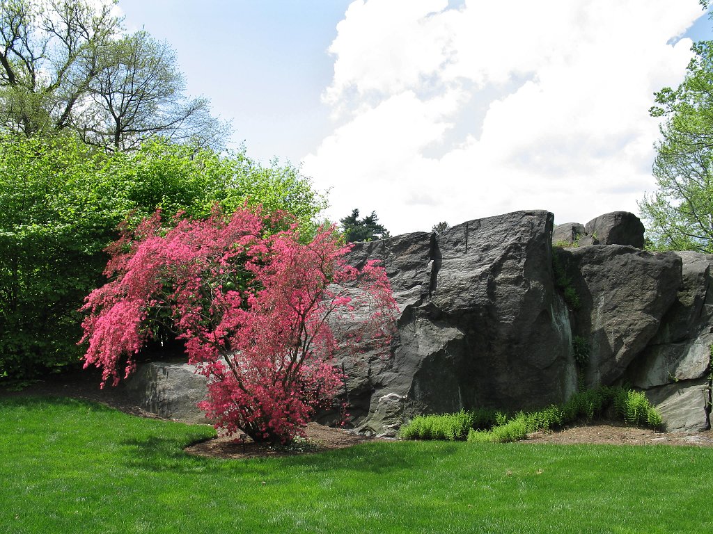 New York Botanical Garden.  Click for next photo.