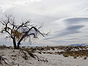 White Sands NM, New Mexico, November 2011.