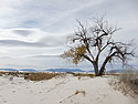 White Sands NM, New Mexico, November 2011.