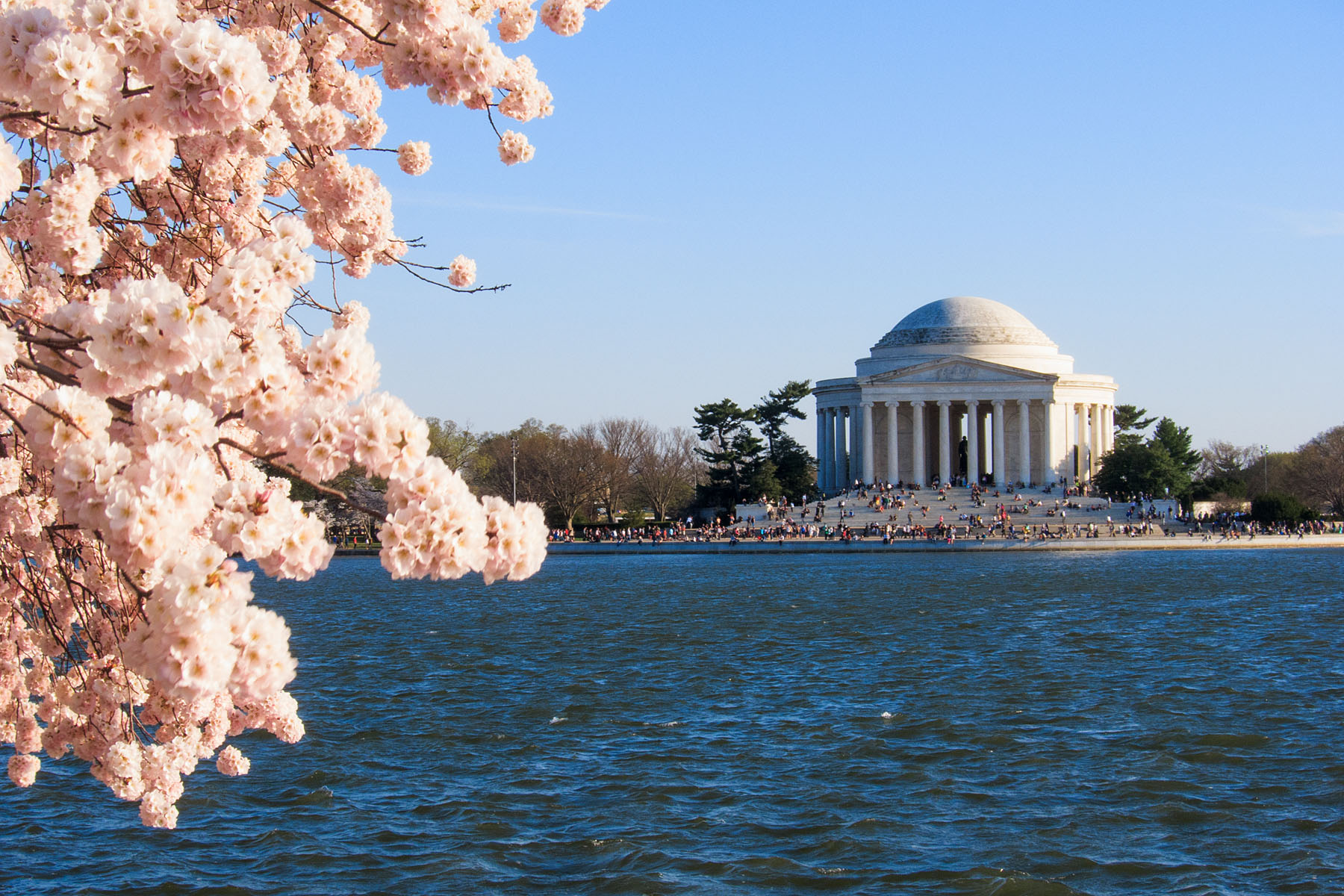 Cherry Blossom Festival at the Tidal Basin, looking across to the Jefferson Memorial, Washington, DC, April 2014.  Click for next photo.