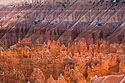 Backlit hoodoos outlined against the cliffs of Bryce Canyon.