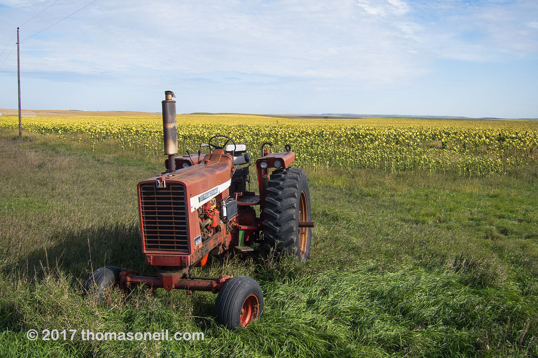 On the drive home found this IH tractor rusting out next to a sunflower field near Vivian, South Dakota, September 2017.  Click for next photo.