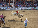 Home of Champions Rodeo, Red Lodge, MT.