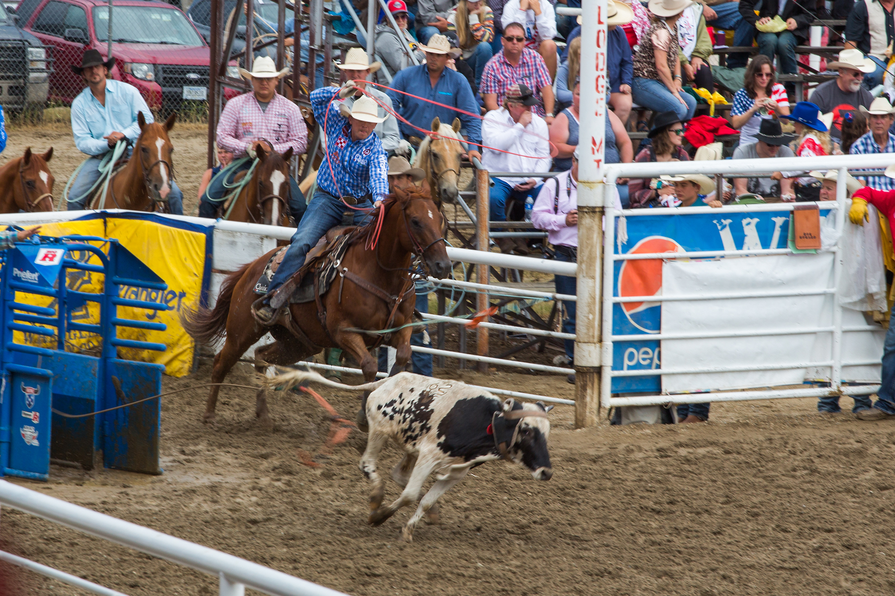 Team roping at Home of Champions Rodeo, Red Lodge, MT.  Click for next photo.