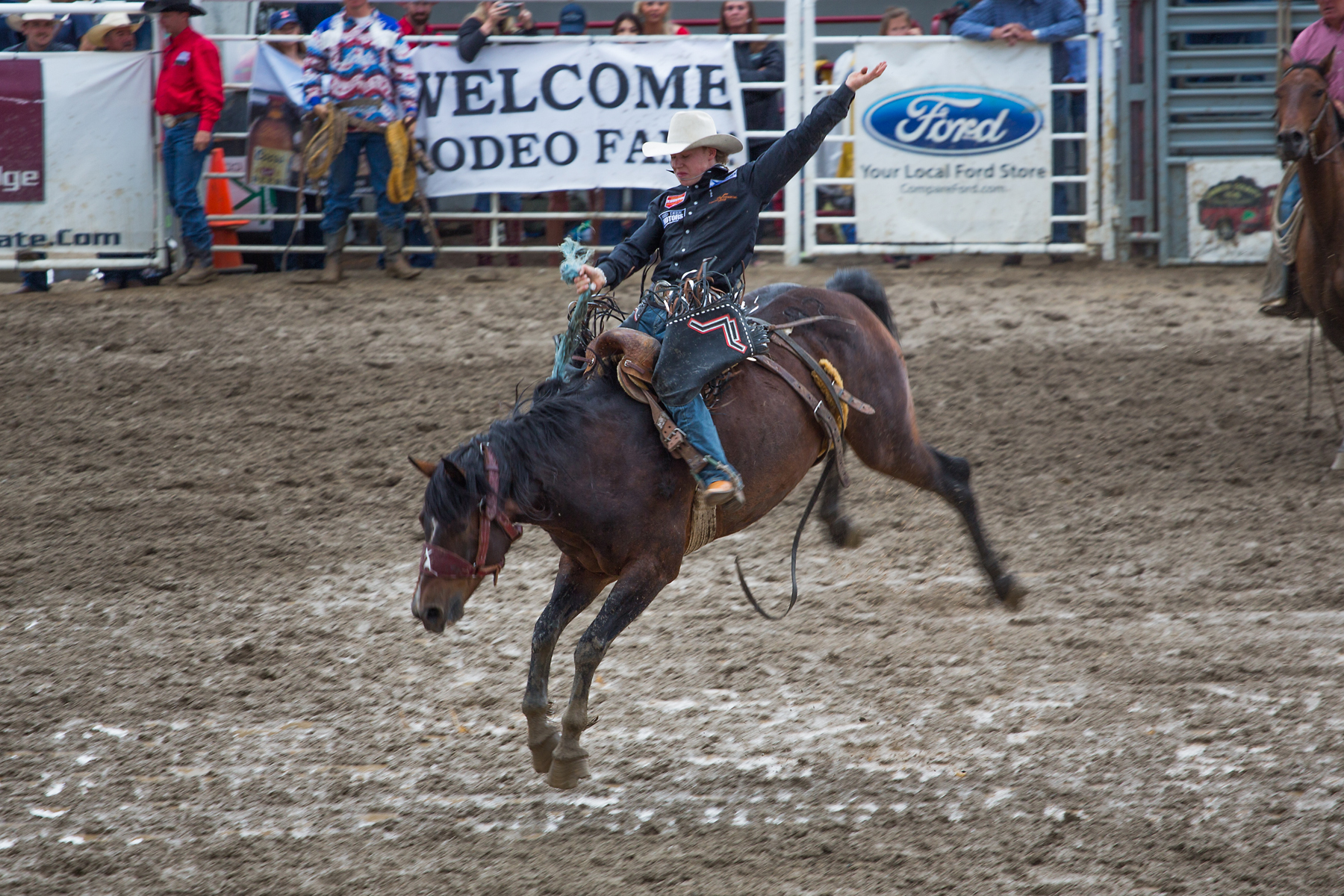 Saddle bronc at Home of Champions Rodeo, Red Lodge, MT.  Click for next photo.