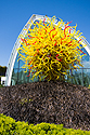 Chihuly Garden and Glass museum, Seattle, May 2021.