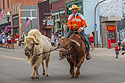 4th of July rodeo parade, Red Lodge, MT, 2021.  Rodeo clown with white bison.