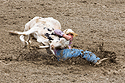 Steer wrestling at Home of Champions Rodeo, Red Lodge, MT, July 4, 2021.