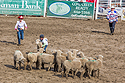 Mutton busting at Home of Champions Rodeo, Red Lodge, MT, July 4, 2021.