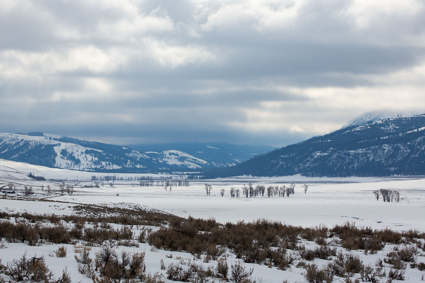 Lamar Valley, Yellowstone, February 2022.  Click for next photo.