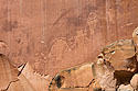 Petroglyphs in Capitol Reef National Park, Utah, April 2022.