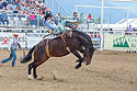 Bronc riding, Red Lodge 4th of July rodeo, 2022.