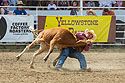 Steer wrestling, Red Lodge 4th of July rodeo, 2022.