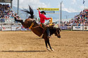 Saddle bronc, Red Lodge 4th of July rodeo, 2022.