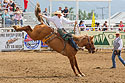 Saddle bronc, Red Lodge 4th of July rodeo, 2022.