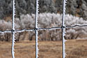 Ice crystals forming on the fence dividing Custer and Wind Cave parks.