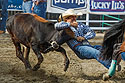 Steer Wrestling, Home of Champions Rodeo, Red Lodge, MT.
