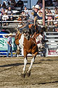 Saddle Bronc, Home of Champions Rodeo, Red Lodge, MT.