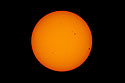 Sunspots on Leap Year, film (orange) filter.