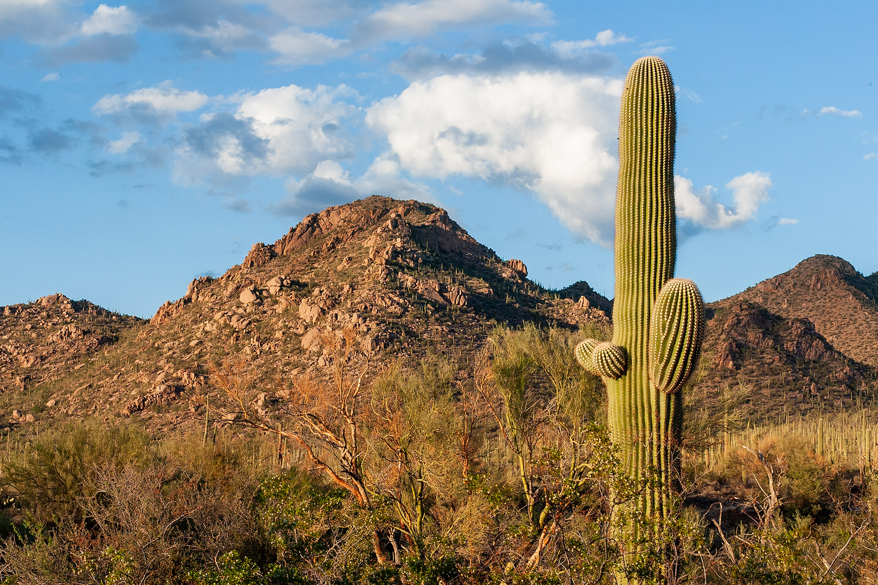 Somewhere in Arizona.  Click for next photo.