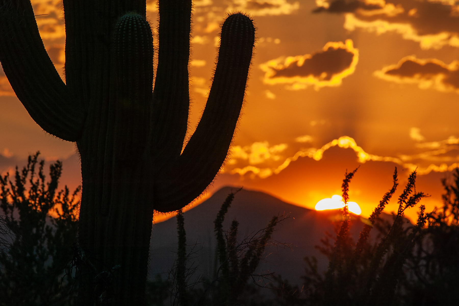 Sunset in Arizona.  Click for next photo.