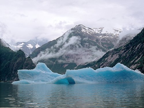 Icebergs float out to sea.  Scanned from film.
