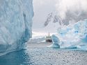 Cruising among the icebergs in a Zodiac.