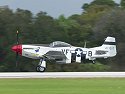 P-51 Mustang Donald Duck takes off.  Florida 2003.