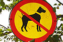 Reykjavík parks: No dogs!
