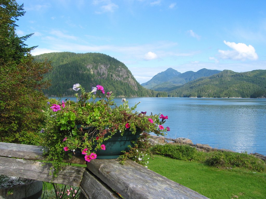 View from the deck at Knight Inlet Lodge on Minstrel Island, British Columbia.  Click for next photo.