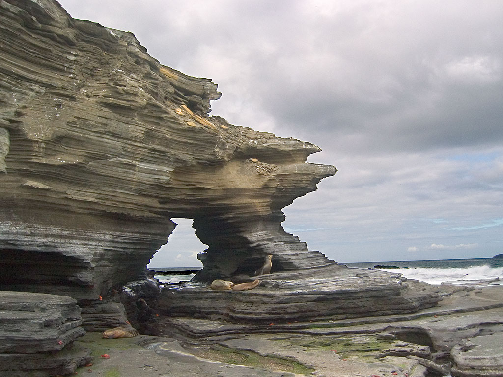 Sea lions, Puerto Egas, Santiago Island, Galapagos.  Click for next photo.