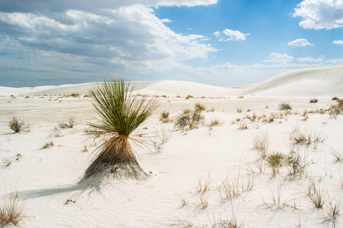 White Sands National Monument, New Mexico.