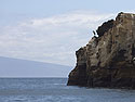 Blue heron, Punta Vicente Roca, Isabela Island, Galapagos.