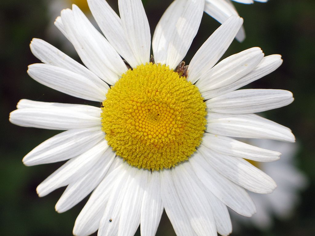 First test with new G6 camera.  Click for next photo.