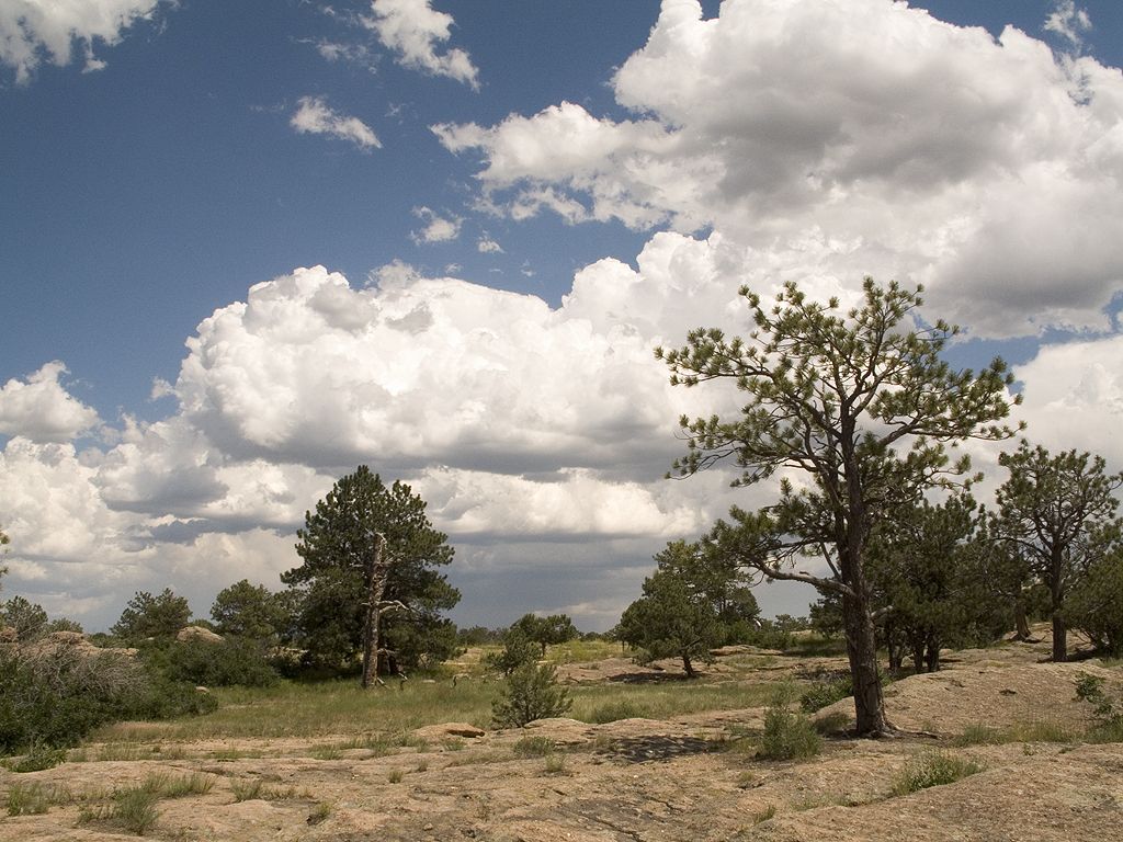 Castlewood Canyon State Park, Colorado.  Click for next photo.