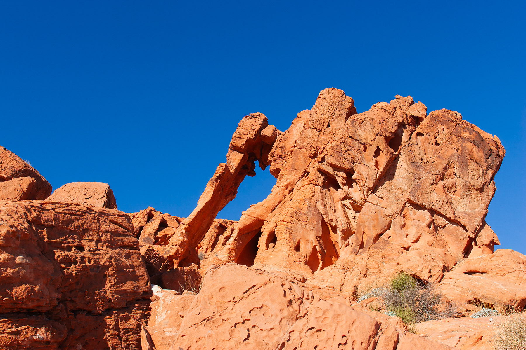 Elephant Rock, Valley of Fires State Park, Nevada.  Click for next photo.