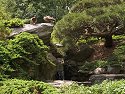 Ducks and waterfall, Brooklyn Botanic Garden.